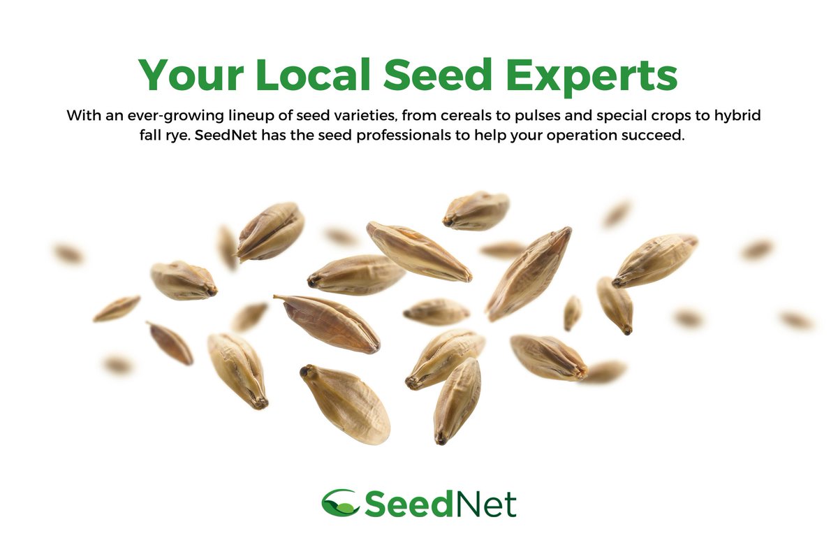 SeedNet Inc. tweet media