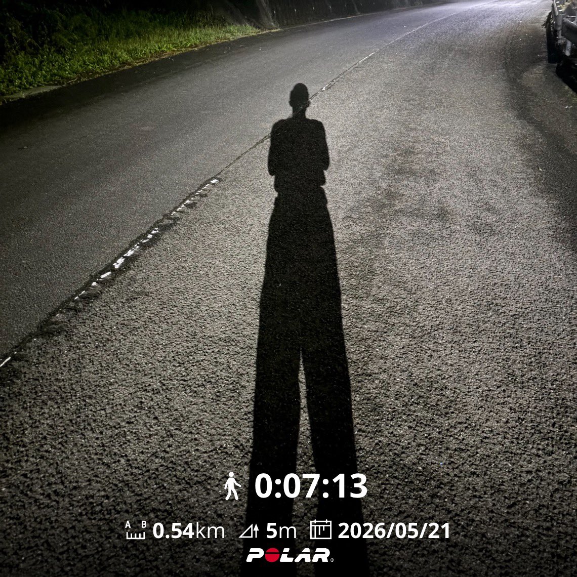 Silent Trail | 裏山行者 tweet media