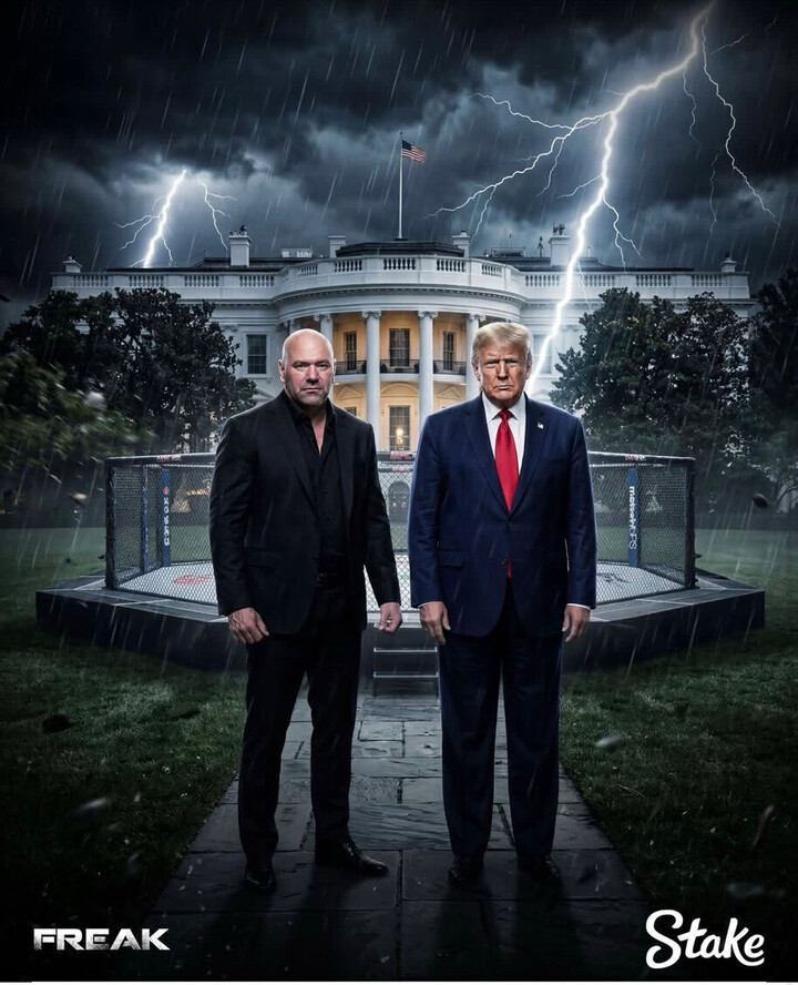 Connect.fun tweet media