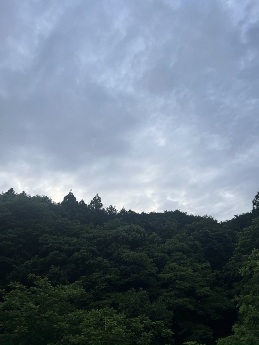胃もたれ子 tweet media
