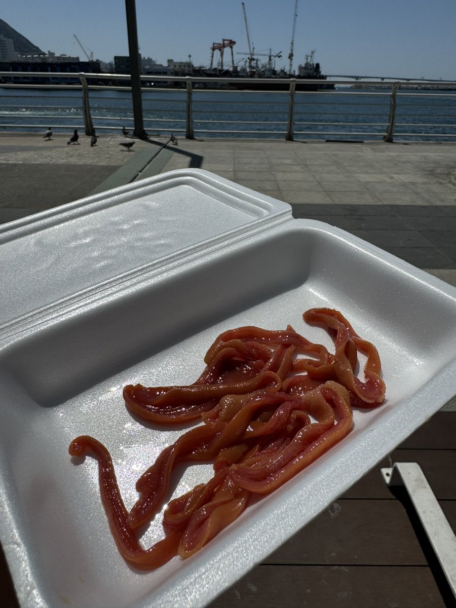 sm_daisuke1's tweet photo. 韓国でユムシ食べた！
見た目完全にちんぽじゃね…？笑笑

切ったのに、つつくとまだ動くんよ笑

#韓国 #ソウル #釜山 #海外旅行 #裏垢 https://t.co/cykv1G5HAr