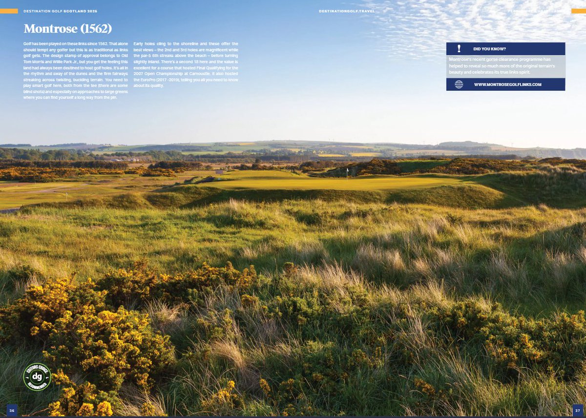 Destination Golf tweet media