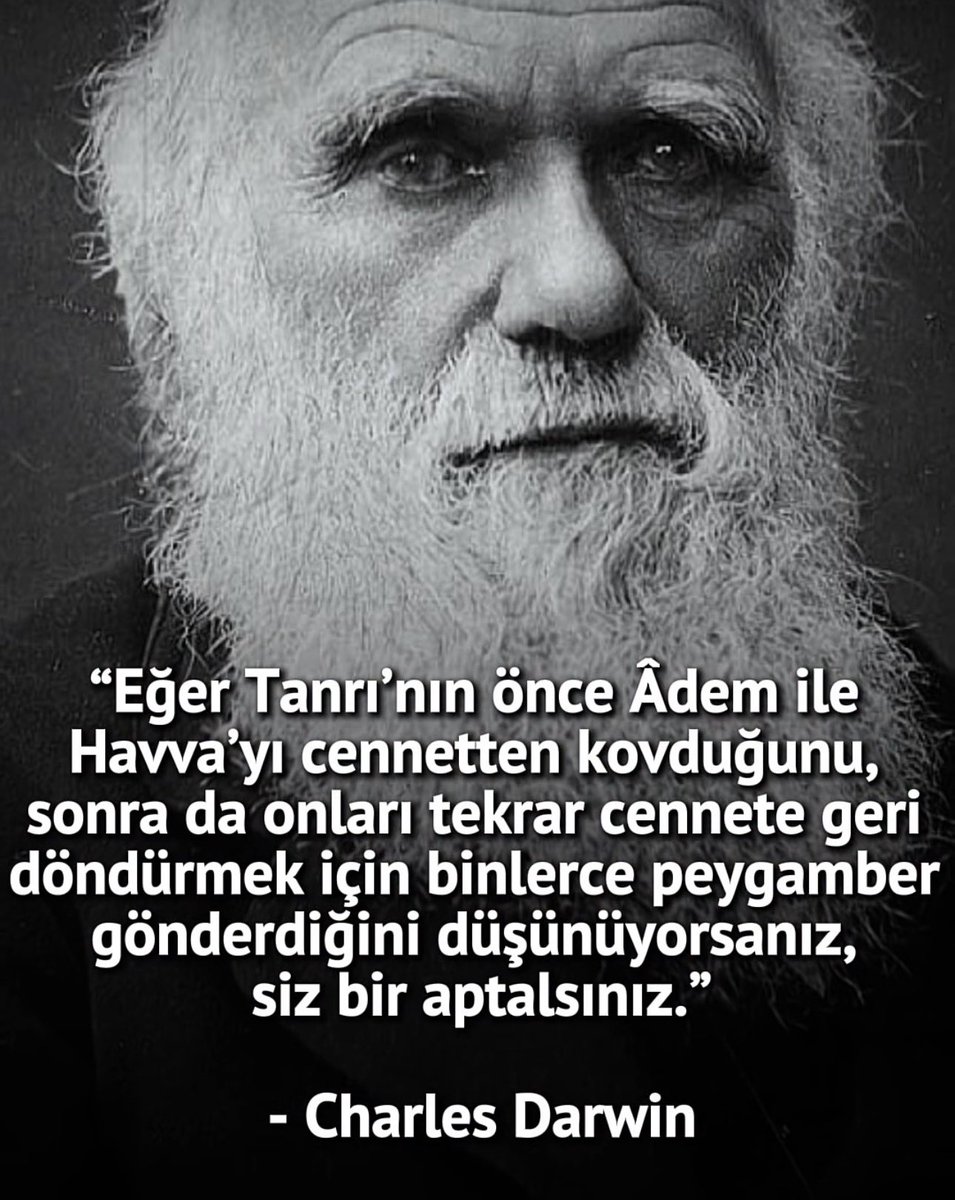 Esin tweet media