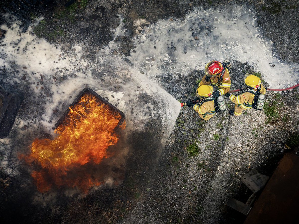 FireRein tweet media