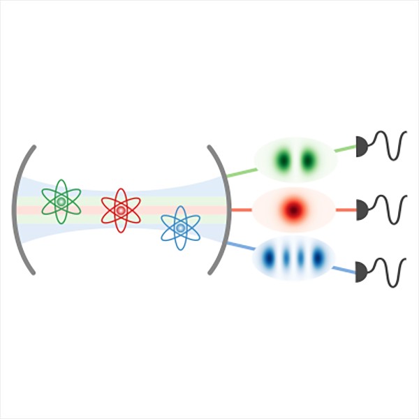 PRX Quantum tweet media