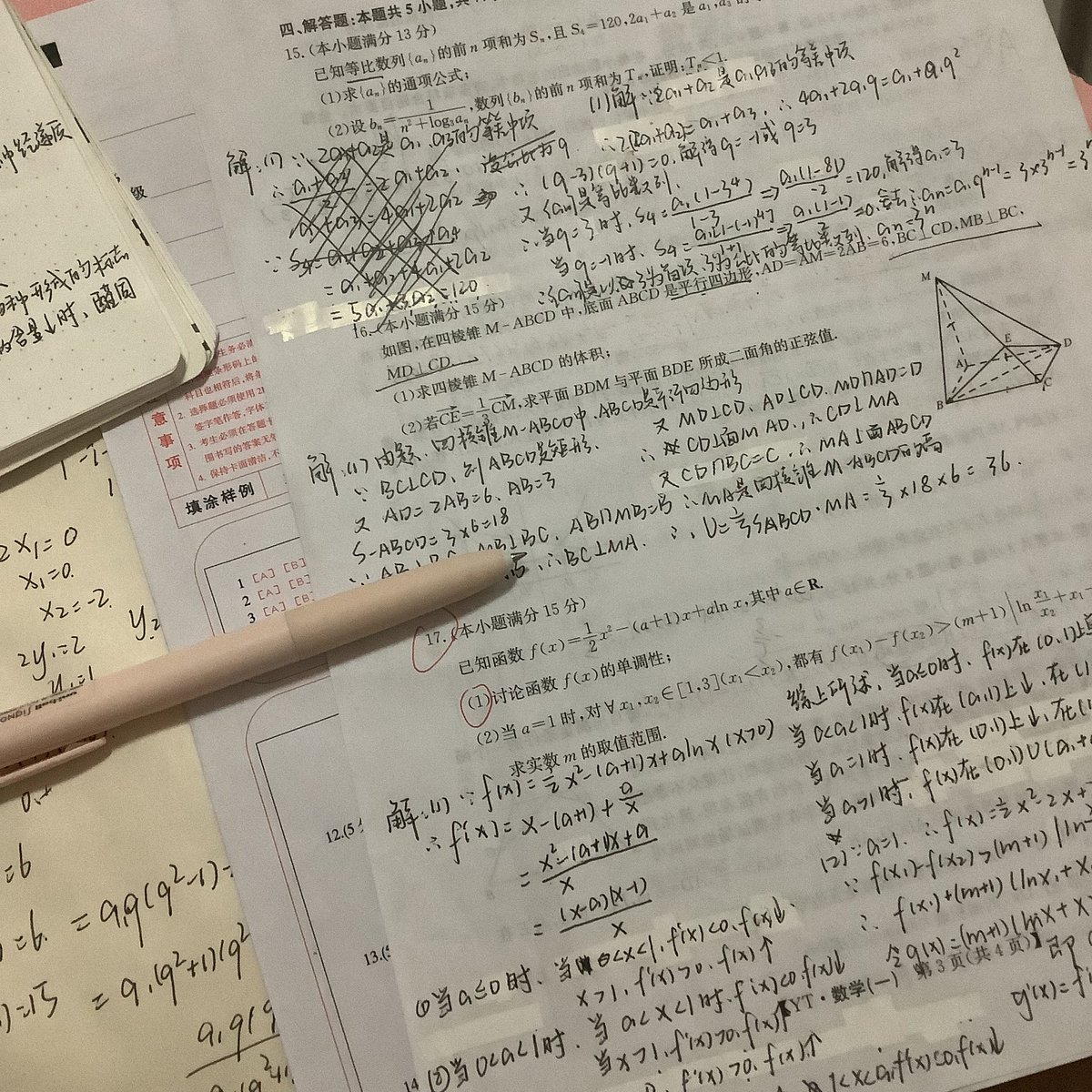 蛋挞熊 tweet media