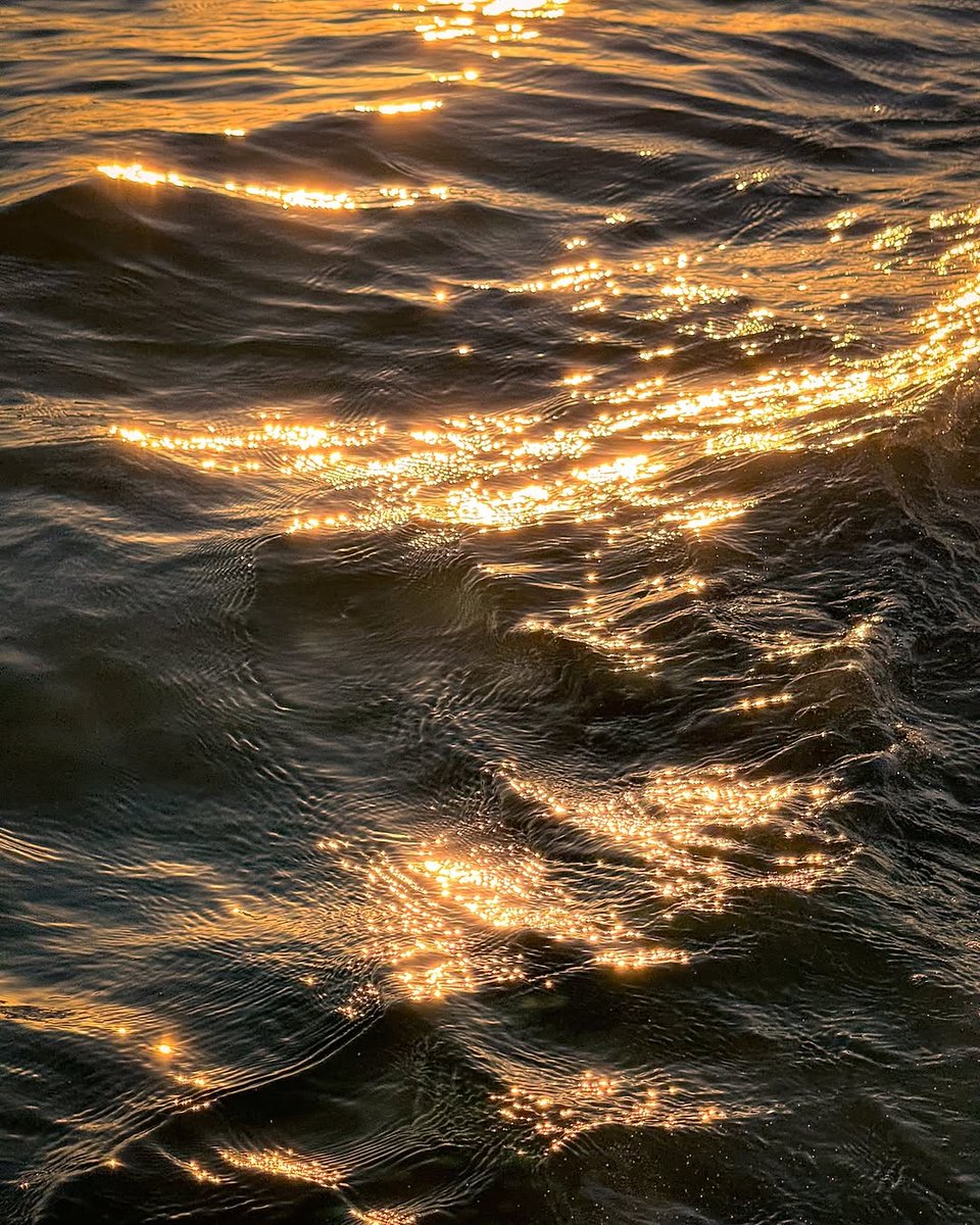 ocean tweet media