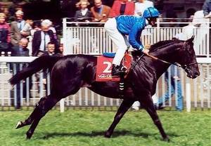 HORSERACING1002's tweet photo. LEND A HAND🇬🇧1995
(GREAT COMMOTION ▪︎ JANAAT BY KRIS)
#LendAHand
B/ Gainsborough Stud 🇬🇧April 4, 1995
O/ Darley 
T/ Saeed Bin Suroor 
20-8-5-2---$621,398
1997 Hwt 2yo Colt in Italy 🇮🇹 
Gran Criterium G1, Hungerford S G3, Nad Al Sheba Mile,  Duke Of York S G3
2nd Berlin-Brandenburg Trophy G2, 2000 Guineas G1,  Challenge S G2, Prix Maurice de Gheest G1, 
3rd Sussex S G1,  Cork & Orrery S G2, 
Stood Kildangan Stud🇮🇪, Overbury Stud🇬🇧, Allevamento Fattoria Renaccino🇮🇹, Lisnagranchy Stud 🇮🇪 & Tunisia 🇹🇳 Sired
Alendha, Bors,  Emily Blake, Flexline, Foreign Raider, Head Waiter, Improvise, Knock A Hand, Lamh Eile,  Lend A Boat, Libor, Marisa Merz, Pamuzinda, Pearl Jeane, Sea Hunter, Secret Pact, Silverhand, Sister Etienne, 
Died June 15, 2018