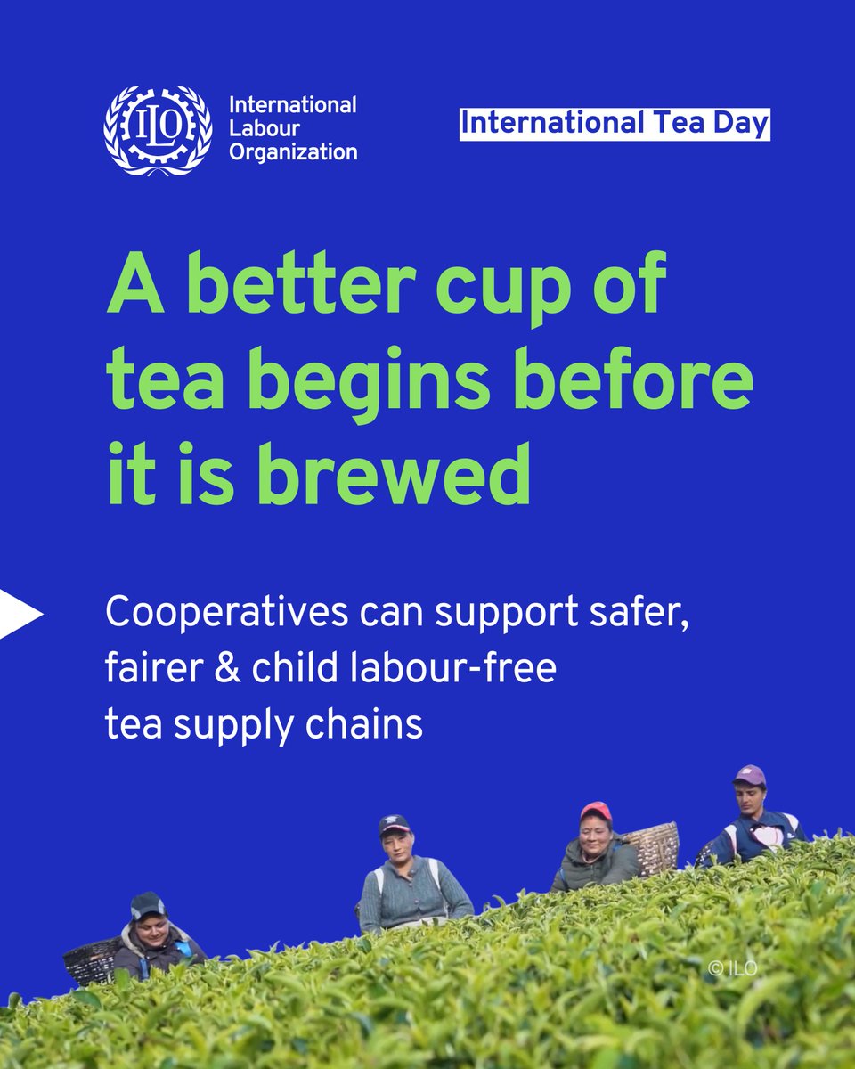 ILO Cooperative, Social and Solidarity Economy tweet media