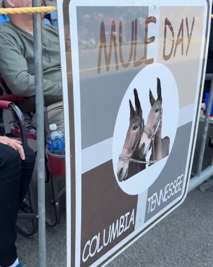 RominesRealtor's tweet photo. 🎉 What a Parade! 🎉   The 2026 Mule Day Parade in Columbia, TN was a fantastic event, filled with community spirit and local pride.   Big thanks go out to the Maury County Bridle and Saddle Club, dedicated volunteers, community partners, and first responders who made it happen.   Our tradition in action, creating cherished memories once again. Enjoy a touch of festive sound with Dolly Parton’s "Mule Skinner Blues!"   Watch a short video of the festivities here: https://t.co/3oCSpjI34h learn more about Columbia, TN, visit our Columbia, TN HomeBuying Playbook at https://t.co/anwcN8krIF