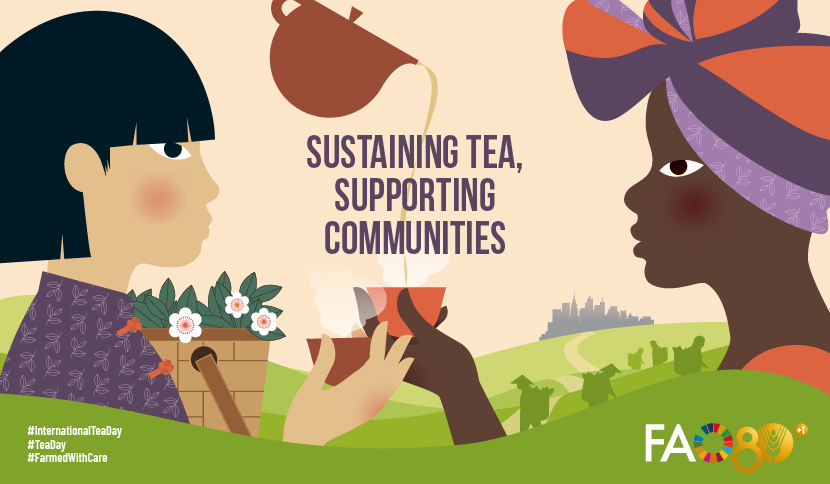 UN_Nigeria's tweet photo. Today is #InternationalTeaDay with the theme Sustaining Tea, supporting communities
A day to recognize the cultural and economic significance of tea around the world, as well as the significant role it plays in rural development, poverty reduction and food security.
#TeaDay2026 https://t.co/5E8JE8ygya