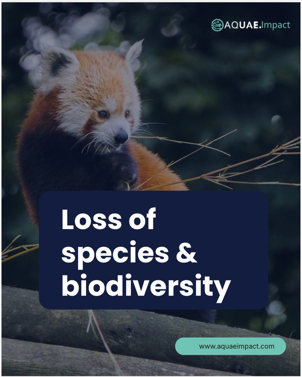Aquaeimpactorg's tweet photo. ALCI is redefining how the world values nature.
Forests are not just carbon sinks they are living systems that generate oxygen, regulate climate, protect biodiversity, restore soil, and secure water systems. Through the AQUAE Labs Ecosystem Conservation Index (ALCI).
#ALCI https://t.co/xM9iVGmPrk