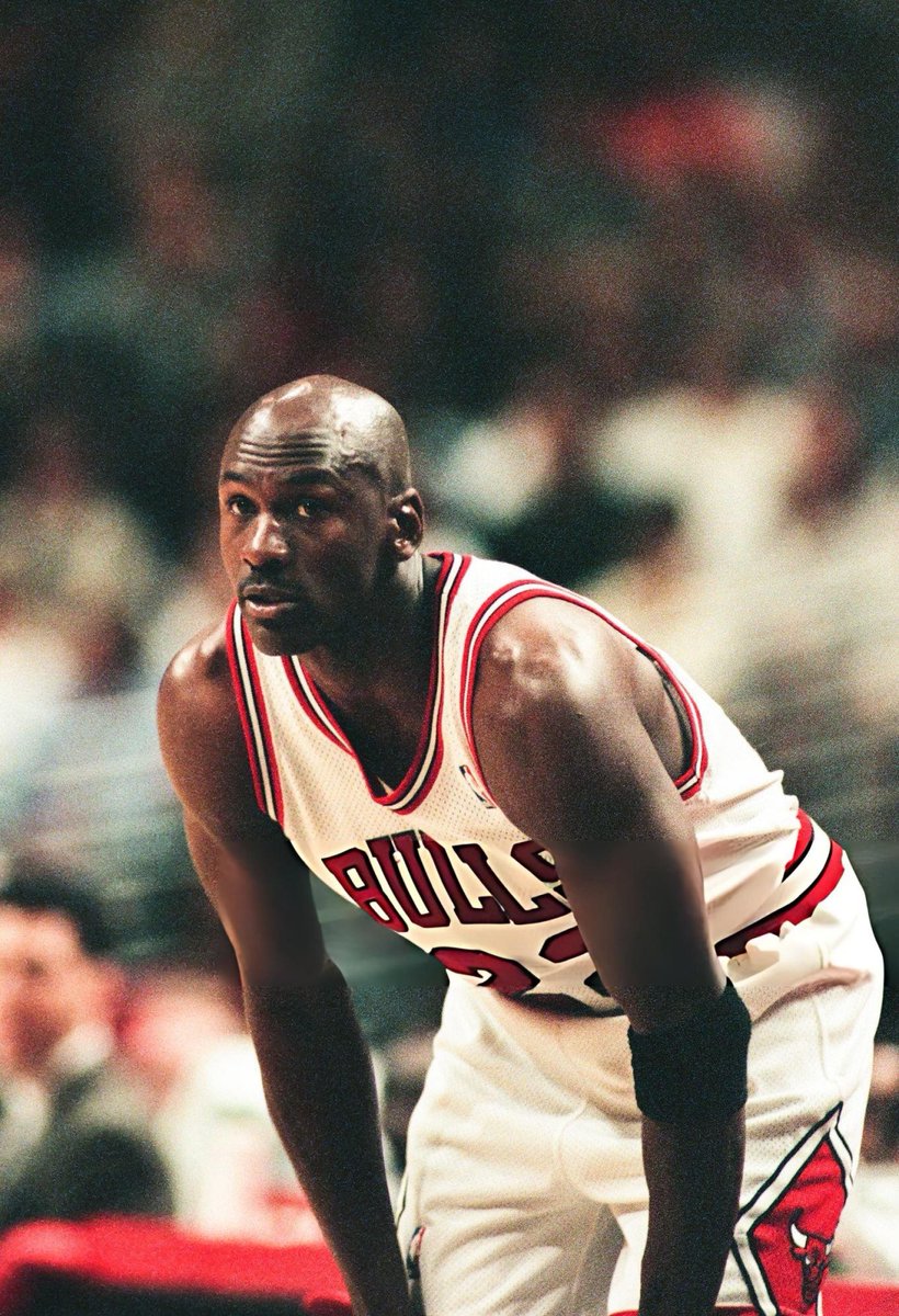 JordanMuse tweet media