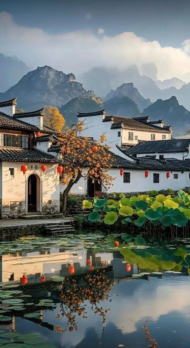Xizheng（互fo） tweet media