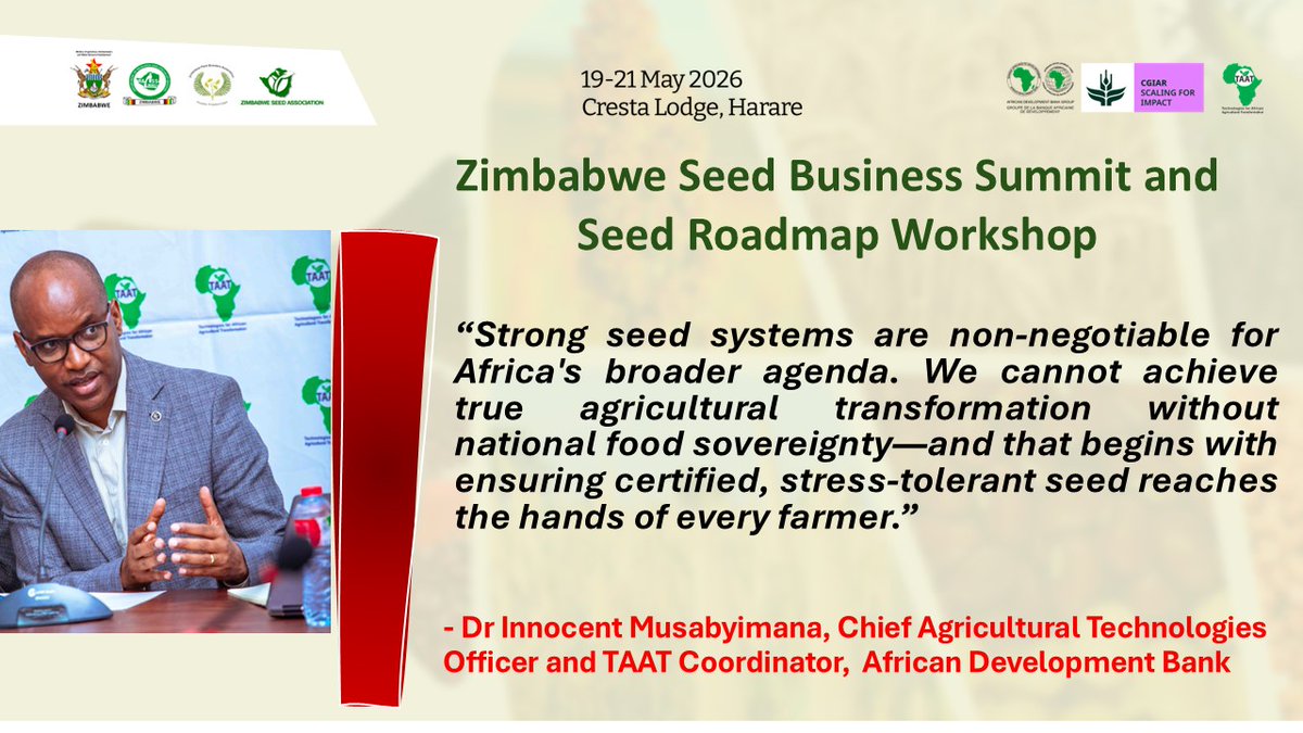Taat_Africa's tweet photo. Speaking at the ongoing #ZimbabweSeedBusinessSummit, Dr @InnocentMus Chief Ag Tech Officer & TAAT Coordinator at the @AfDB_Group delivered a powerful message on the financial execution needed to back Zimbabwe’s 5-Year #SeedRoadmap. 

He underscored that robust, well-regulated seed systems are the ultimate antidote to climate shocks and rising food import bills.

📌 Key Strategic Takeaways:
🟢 The Impact Blueprint: Through the African Emergency Food Production Facility (#AEFPF), an AfDB facility rapidly transitioned over 100,000 Zimbabwean farmers to certified, high-yield seeds and fertilizers to shield against global supply chain shocks.
🟢 Digital Input Governance: A major highlight is Zimbabwe's pioneering use of secure ICT and digital platforms for input distribution. By embedding digital traceability, the country drastically enhanced transparency and minimized leakage—creating a gold standard that the AfDB is now encouraging other Regional Member Countries (#RMCs) to replicate.

🟢 The TAAT Engine: As the principal delivery platform for the Bank’s #FeedAfrica strategy, TAAT and partners have successfully unlocked 76,000+ metric tons of foundation and certified seed across the continent, reaching over 25 million smallholders.

🟢 Driving Agribusiness Wealth: The ongoing formulation of Zimbabwe’s 5-Year Seed Roadmap will crowd in private enterprises, lower local production costs, and position the nation as a completely self-reliant agribusiness hub.

#ZimbabweSeedSummit #AgriculturalTransformation #SeedSystems #Agribusiness #PublicPrivatePartnerships #EngageTAAT #FeedAfrica #Scale4Impact

@AfDB_Group @Groupe_AfDB @GatesAfrica
@CGIAR @CGIARScaling @IITA_CGIAR
@MoLAFWRD_Zim @HeraldZimbabwe
@NewsDayZimbabwe @ZiFMStereo 
@BusinessTimesZW @ZiFMStereoNews
@ZBCNewsonline @ChronicleZim @SundayMailZim
@farmshopZW @SeedCoZimbabwe @PrimeSeedco
@FarmersAfric

@ZimTradeAlerts
@MarichoMedia
