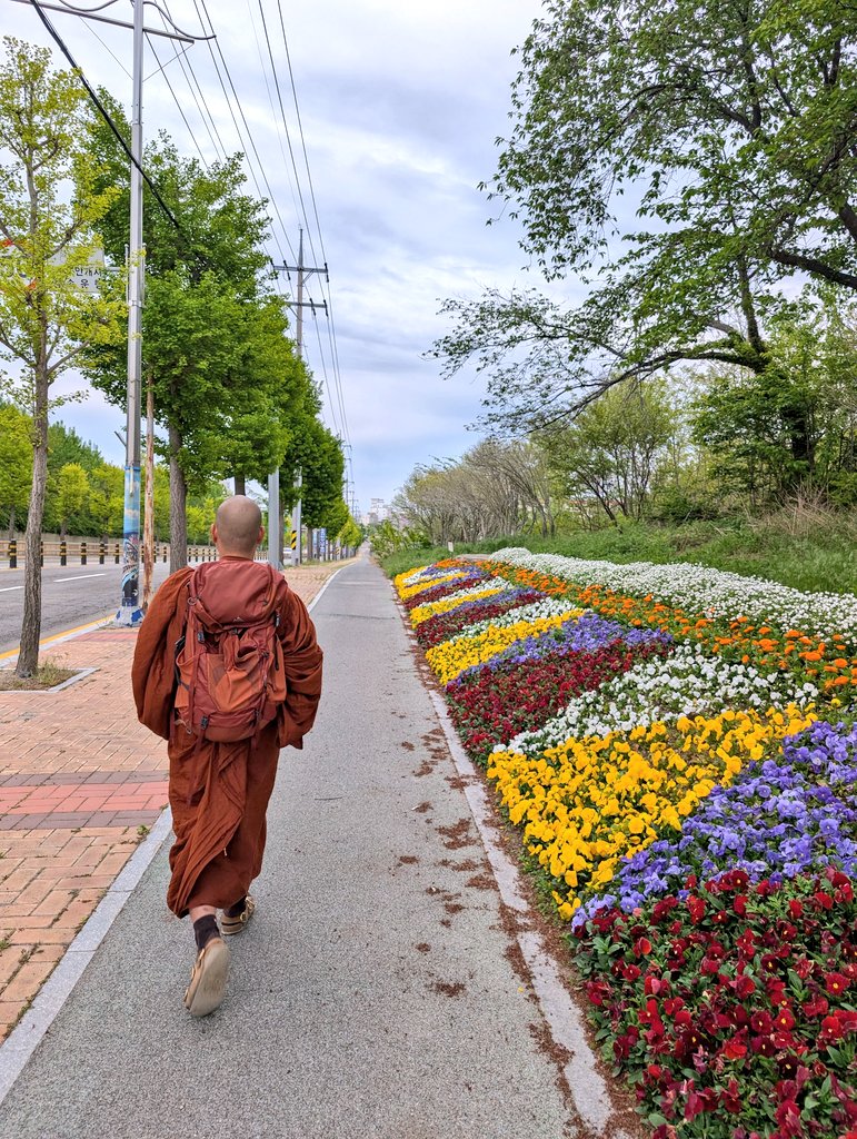 thecosmicpoet's tweet photo. We praise companionship
-- yes!
Those on a par, or better,
should be chosen as friends.
If they are not to be found,
living faultlessly,
wander alone
like a rhinoceros.

- Buddha, Khaggavisana Sutta https://t.co/NWWN1b67xg