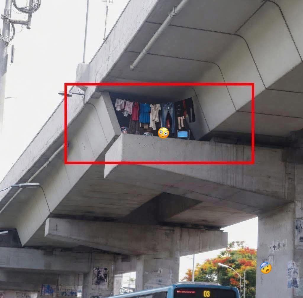 samy_cho's tweet photo. El dominicano no ha conquistado el sol por que no le no dado su M!@#$% gana, miren esa vaina. No o pero son terrible. Después se preguntan por que los marcianos no vienen. https://t.co/fMDPj03MVp