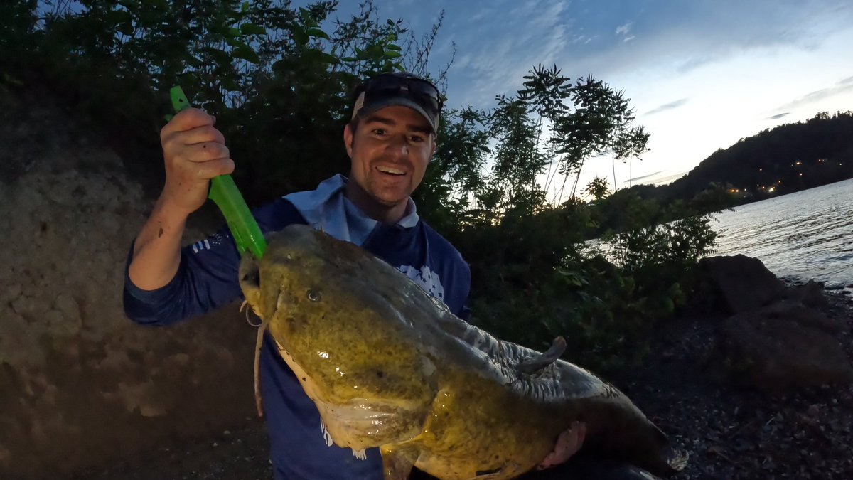 JCole_024's tweet photo. 2 Big Flathead Catfish Caught!
34lbs and 27lbs https://t.co/cv4QWgRpRa