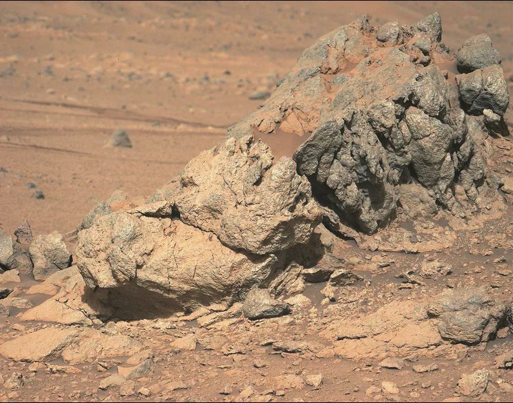 Curiosity tweet media