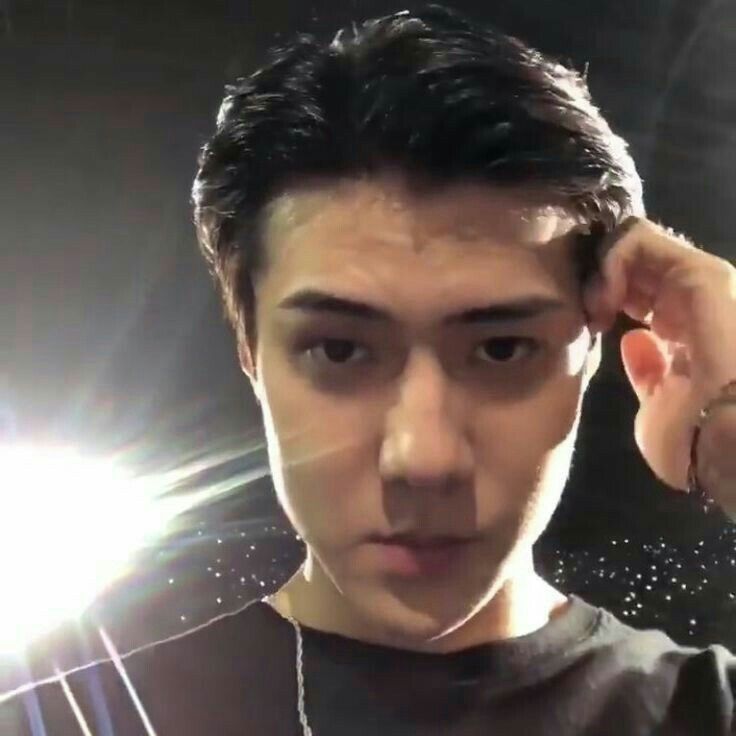 hourly sehun tweet media