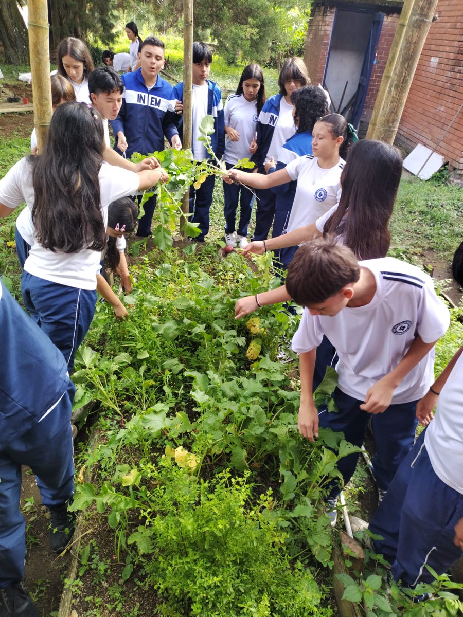 GestComZocc's tweet photo. @ElOIRdelaRegion @UniversidadUNAD @unadcentrorient @unad_zcsur En el INEM de Armenia, Quindío, cerró la CIPAS Territorial con la cosecha de rábanos como resultado final, una comunidad que no solo aprendió, sino que produjo.
#OIRZonaOccidente #VIDER_UNAD #TejiendoSolidaridadTerritorial #OIR_UNAD #CIPASTerritoriales https://t.co/8372l90ksS