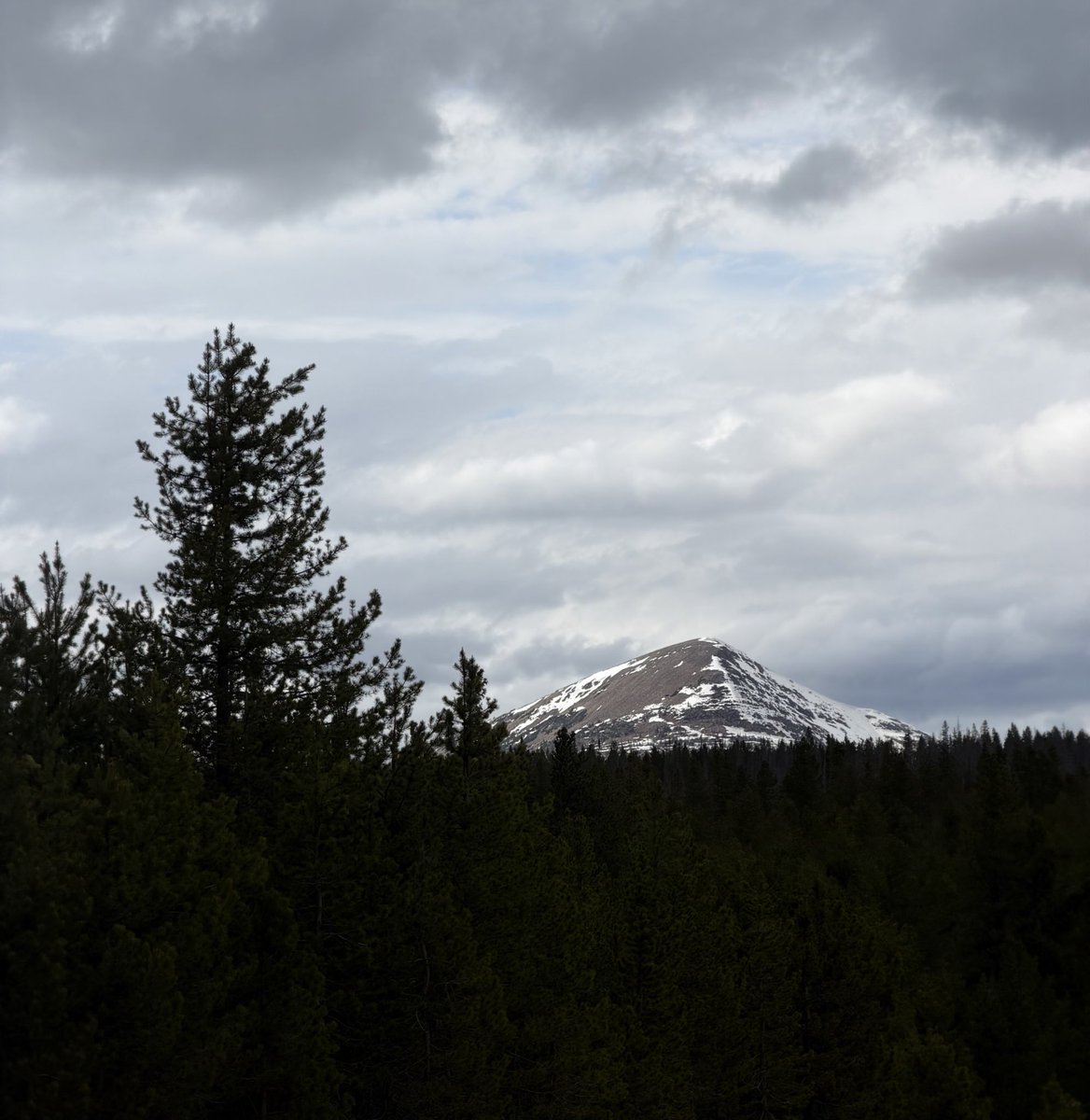 _crucified1's tweet photo. You know where to find me 🌲 https://t.co/RXjCt4Aikm