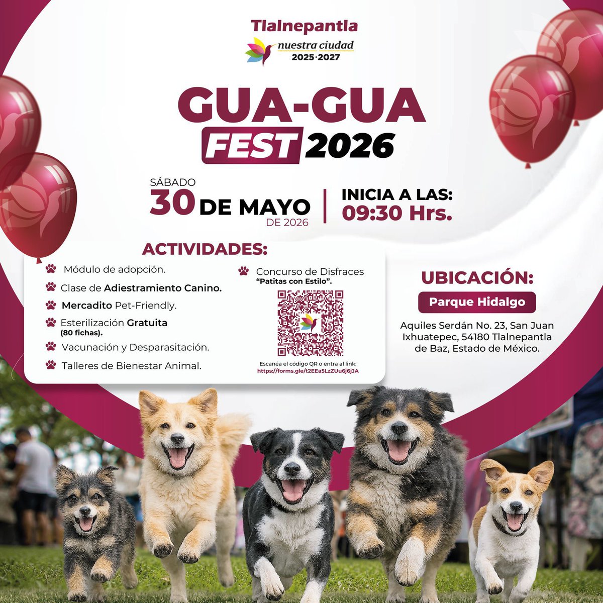 Gob_Tlalne's tweet photo. En #Tlalnepantla transformamos la forma de cuidar a nuestros animales.

Con GuaguaFest promovemos el bienestar, la prevención y una mejor convivencia en #NuestraCiudad. https://t.co/nRIOuj2EnW