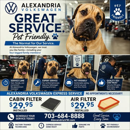 ALEXANDRIAVW's tweet photo. 📷 Dog-Gone Good Service at Alexandria Volkswagen! 📷
At Alexandria Volkswagen, we believe great service should make every member of the family feel welcome �� including the four-legged ones. environment is built around comfort, care, and convenience. #NationalPetMonth https://t.co/999Rxli6Qs