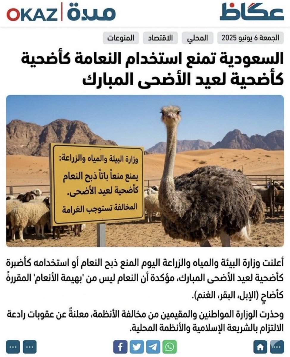 ابناء زايد tweet media