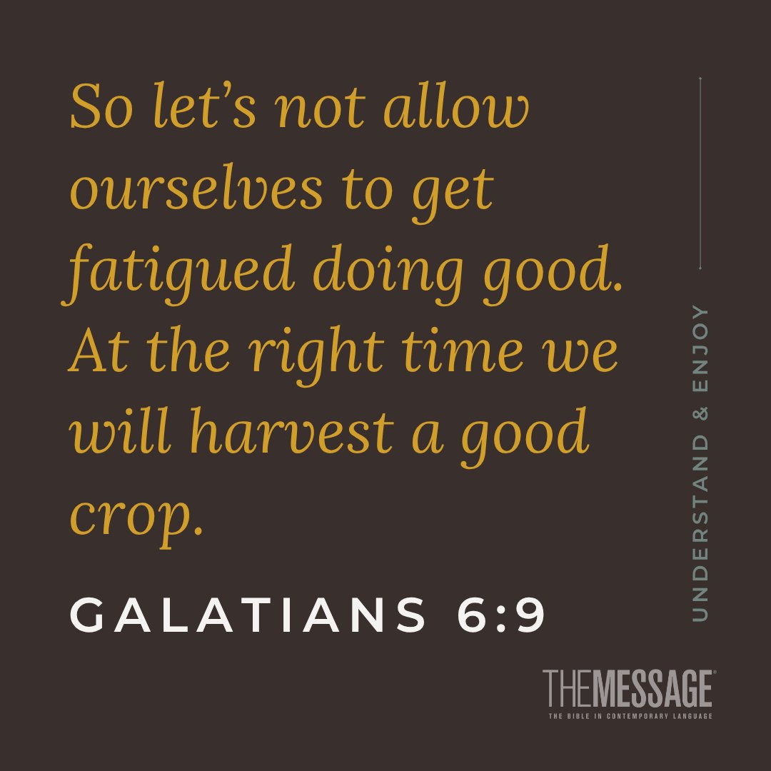 The Message tweet media