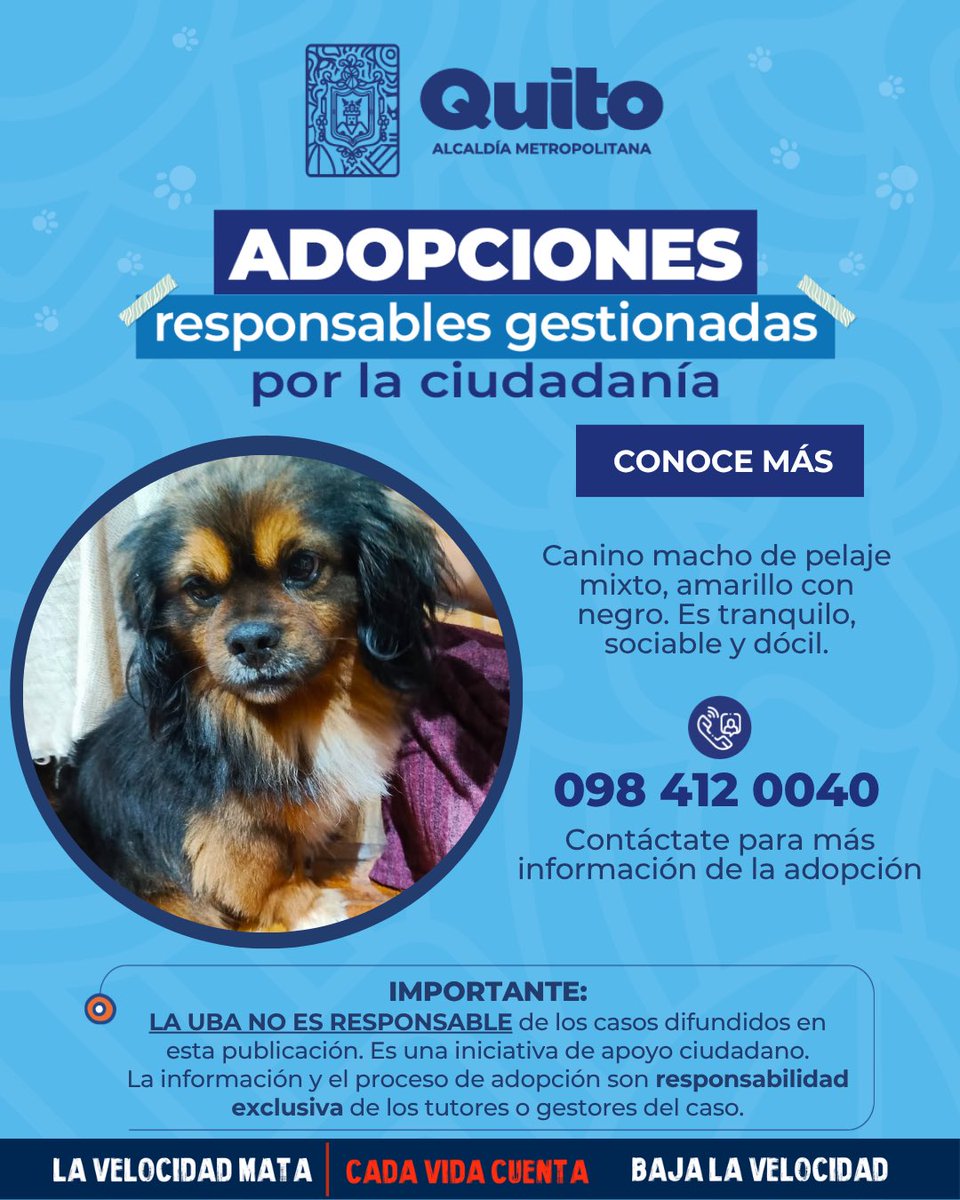 Unidad de Bienestar Animal Quito tweet media