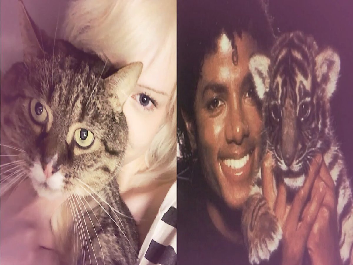 Lili ꨄ︎. #MJTWT tweet media