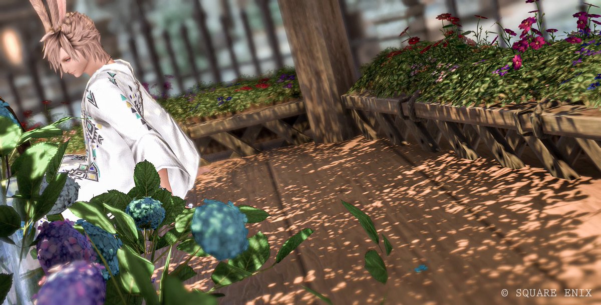Pino☽Pandaemonium tweet media
