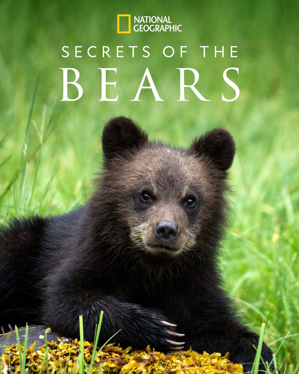 National Geographic tweet media