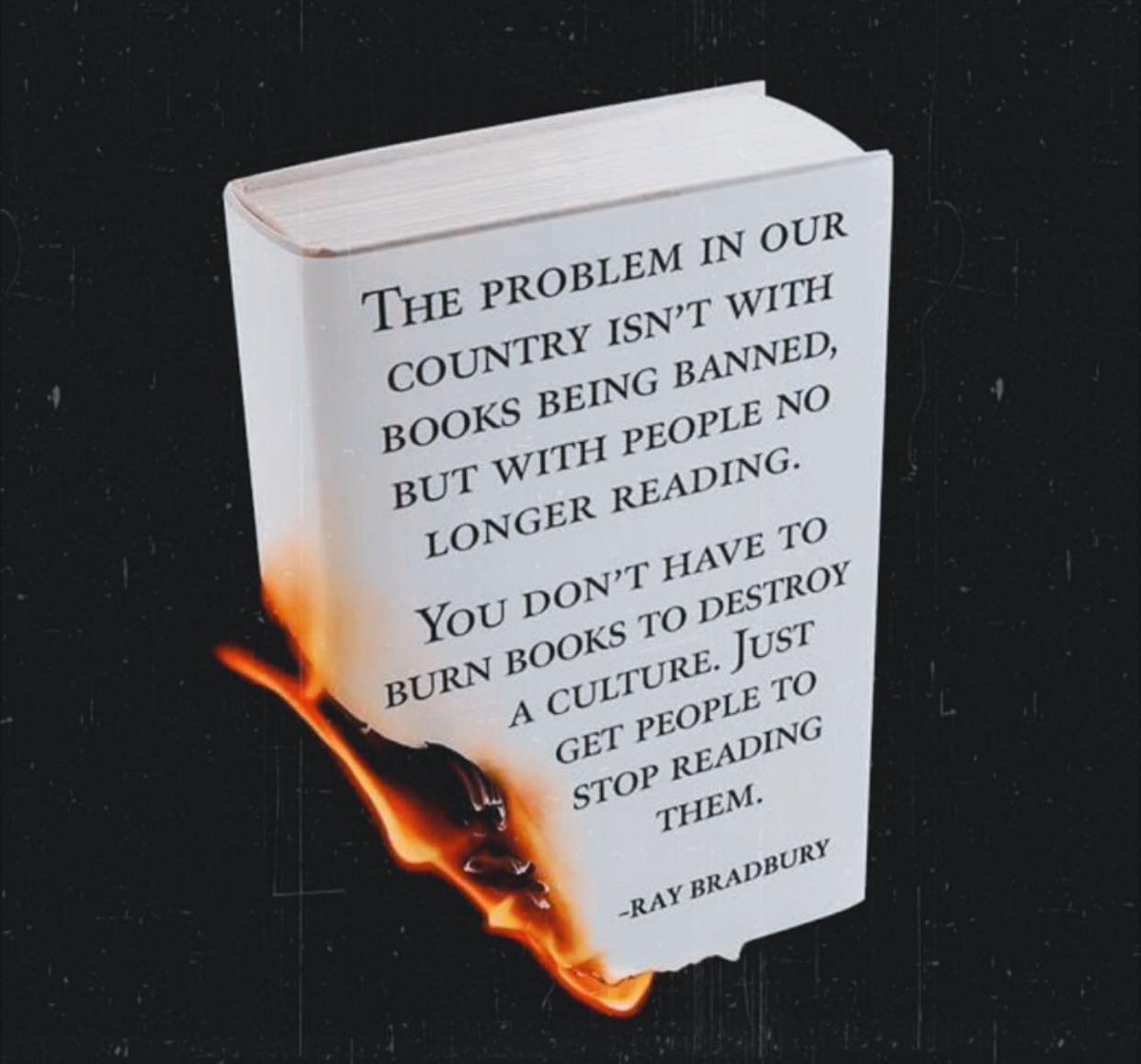 𝓢𝓹𝓪𝓻𝓱𝓪𝔀𝓴 🃏 tweet media