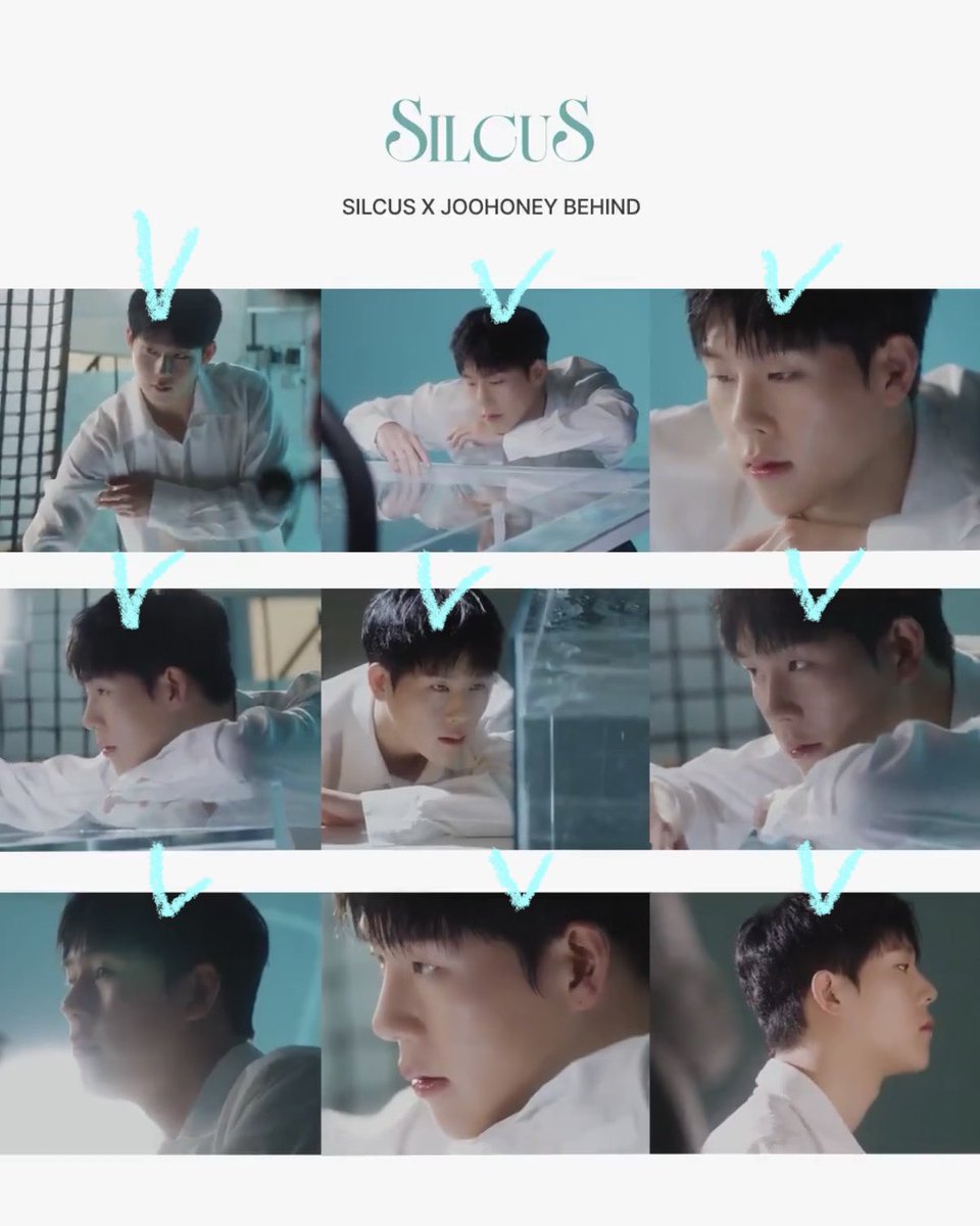 뽑보 tweet media
