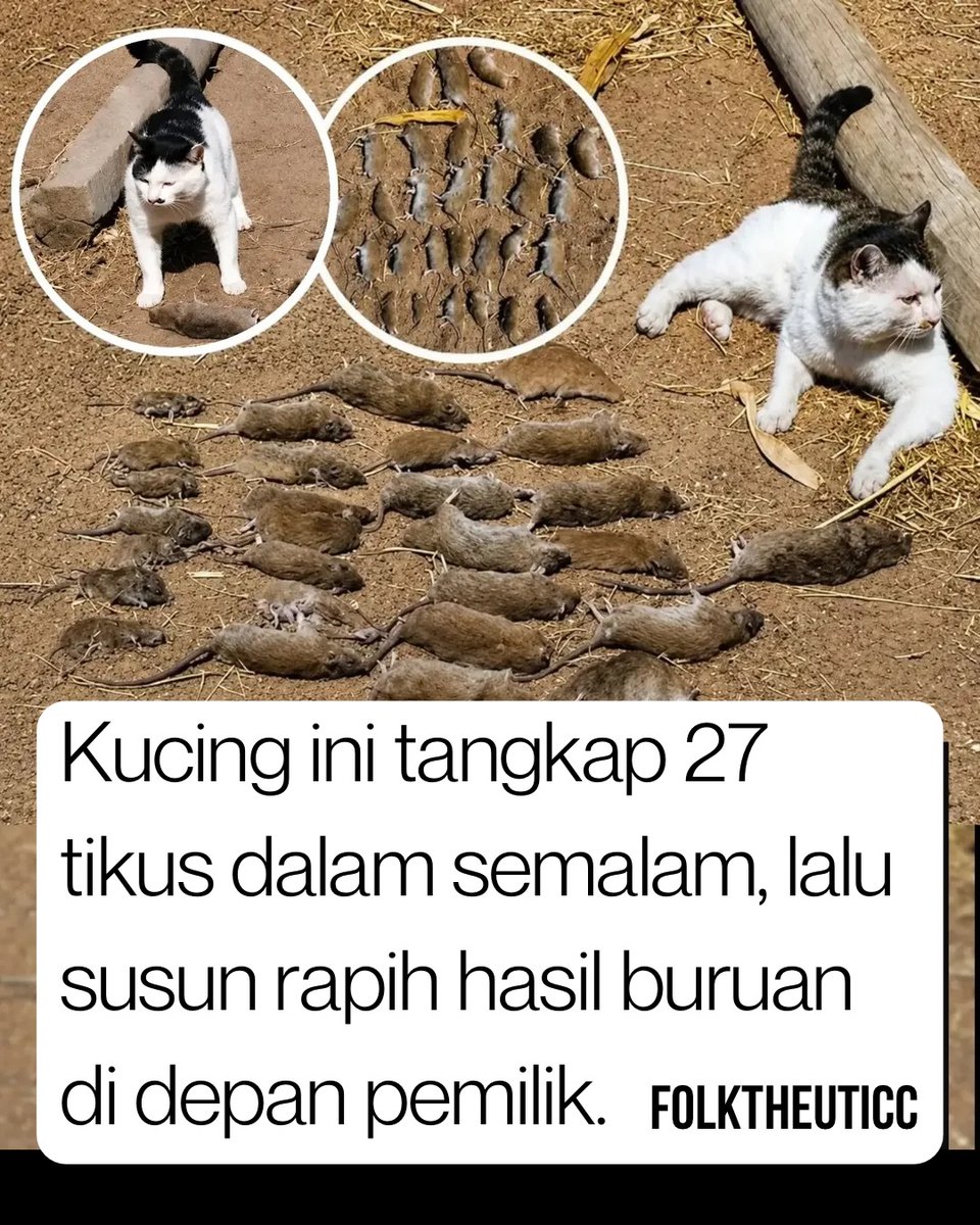 Endless Story tweet media