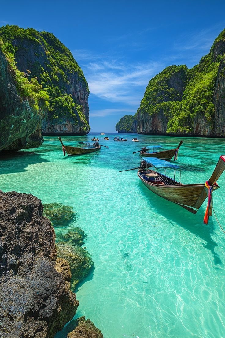 naturehealyou's tweet photo. Thailand https://t.co/It2v2oYW2j