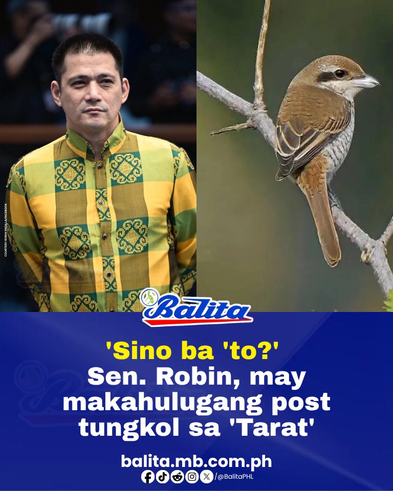 Balita tweet media