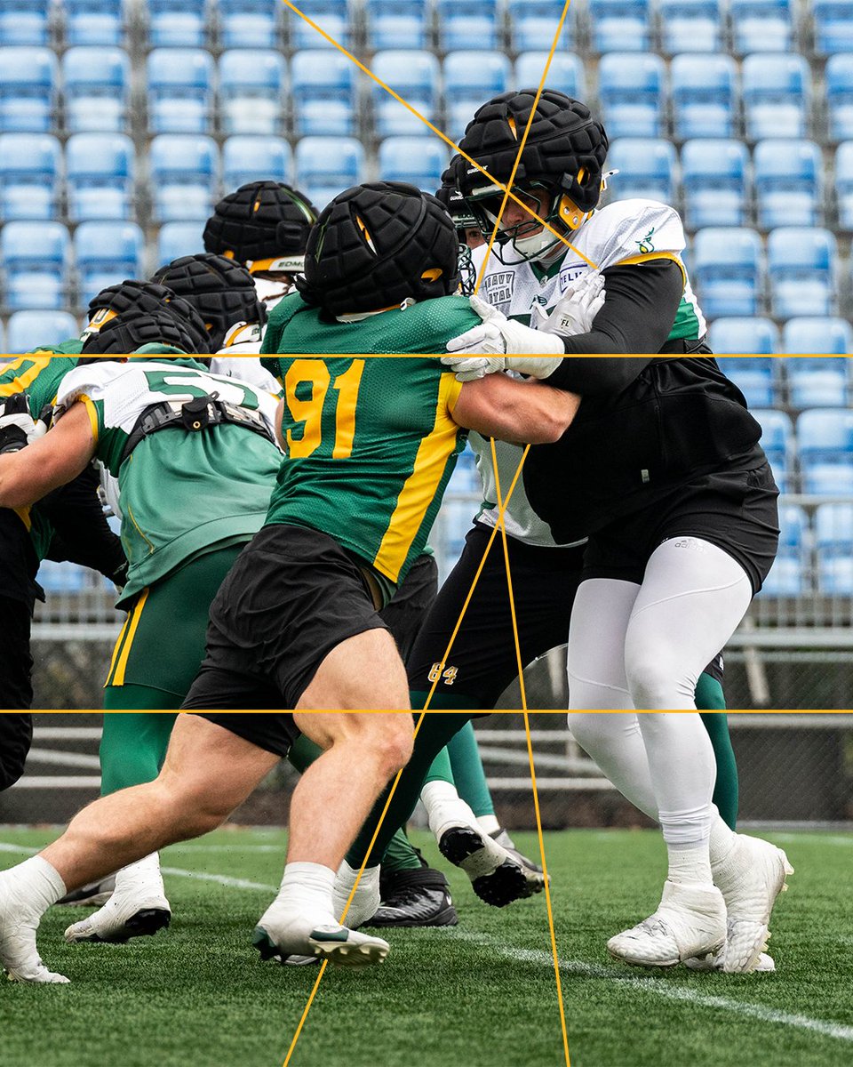 Edmonton Elks tweet media