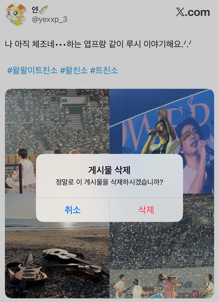 얀🍼 tweet media