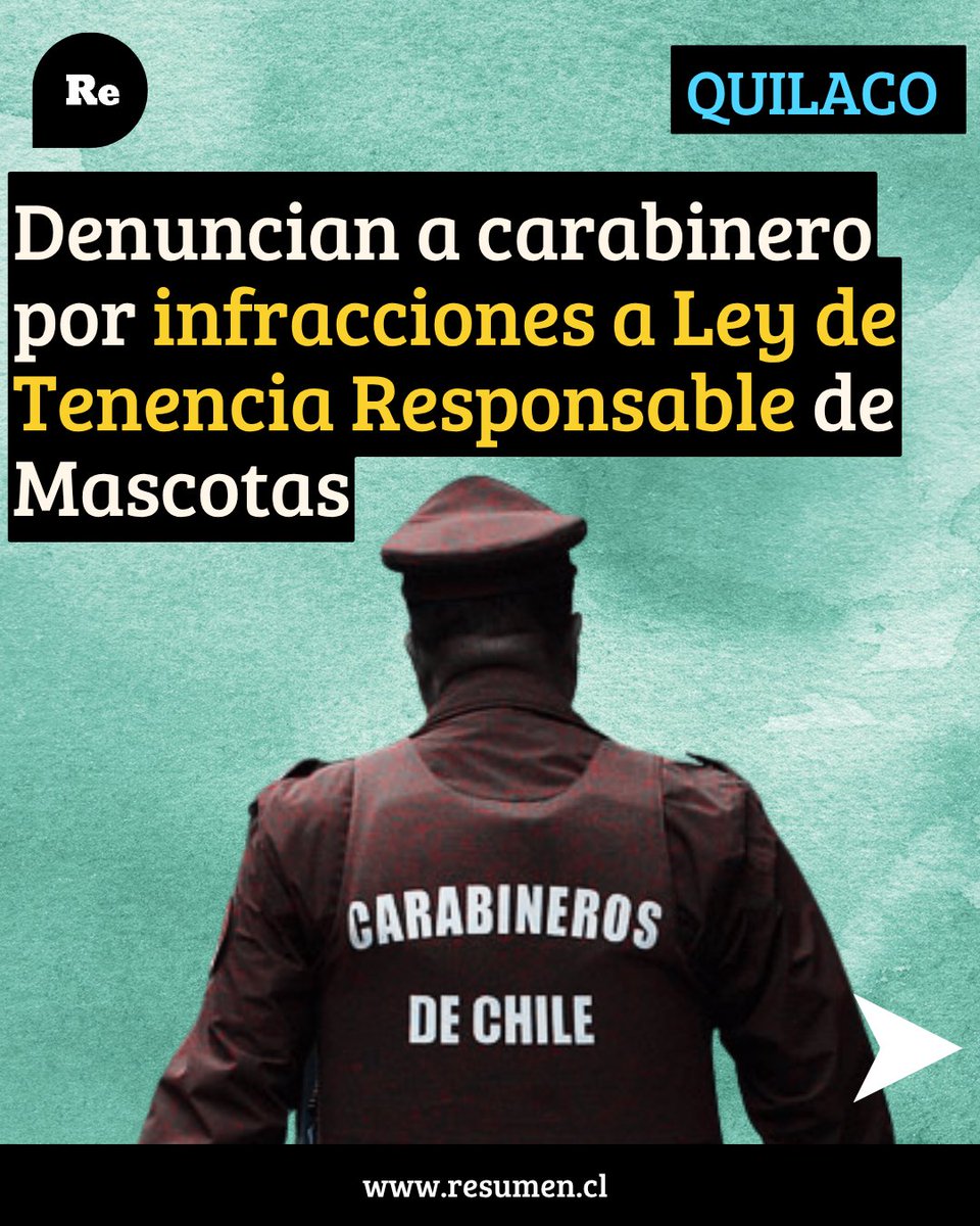 Resumen tweet media