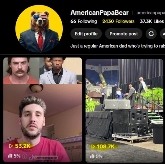 AmericanPapaBear™ tweet media