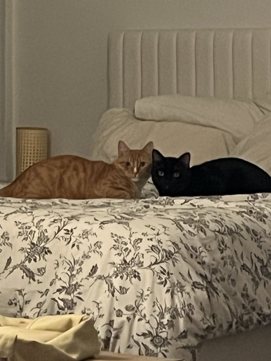 nectarspit's tweet photo. they’re husbands https://t.co/3AqdokvYmq