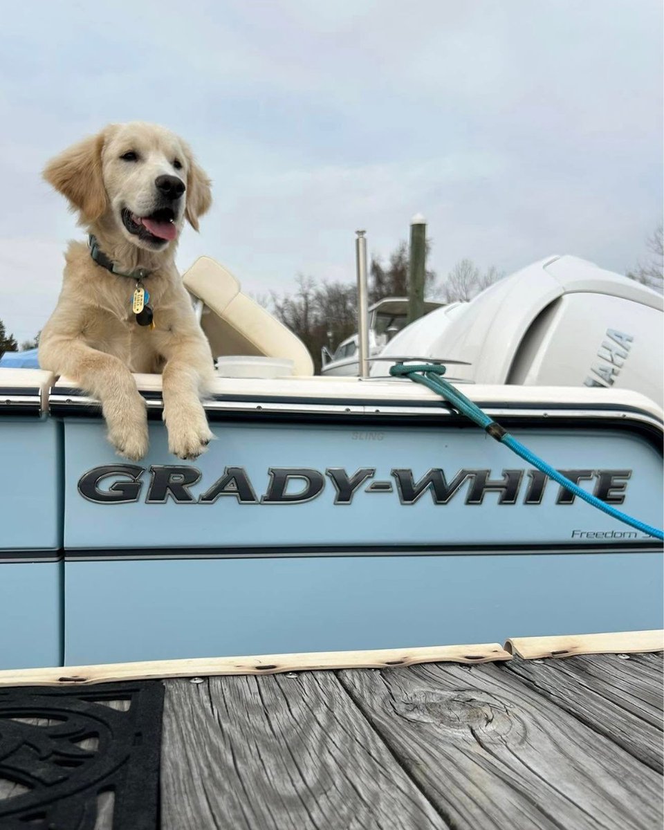 Grady-White Boats tweet media