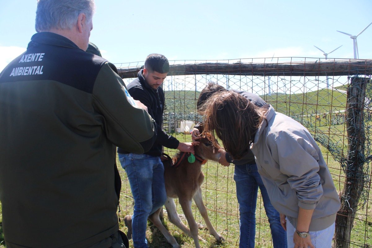 Anxeles_Vazquez's tweet photo. A postura do Goberno central con respecto á protección do lobo está a comprometer a viabilidade das explotacións gandeiras. 

Así o comprobamos hoxe en Vilalba, onde estes mozos gandeiros nos trasladaron a súa preocupación ante a inseguridade coa que conviven diariamente. https://t.co/rGdwsiNiN6