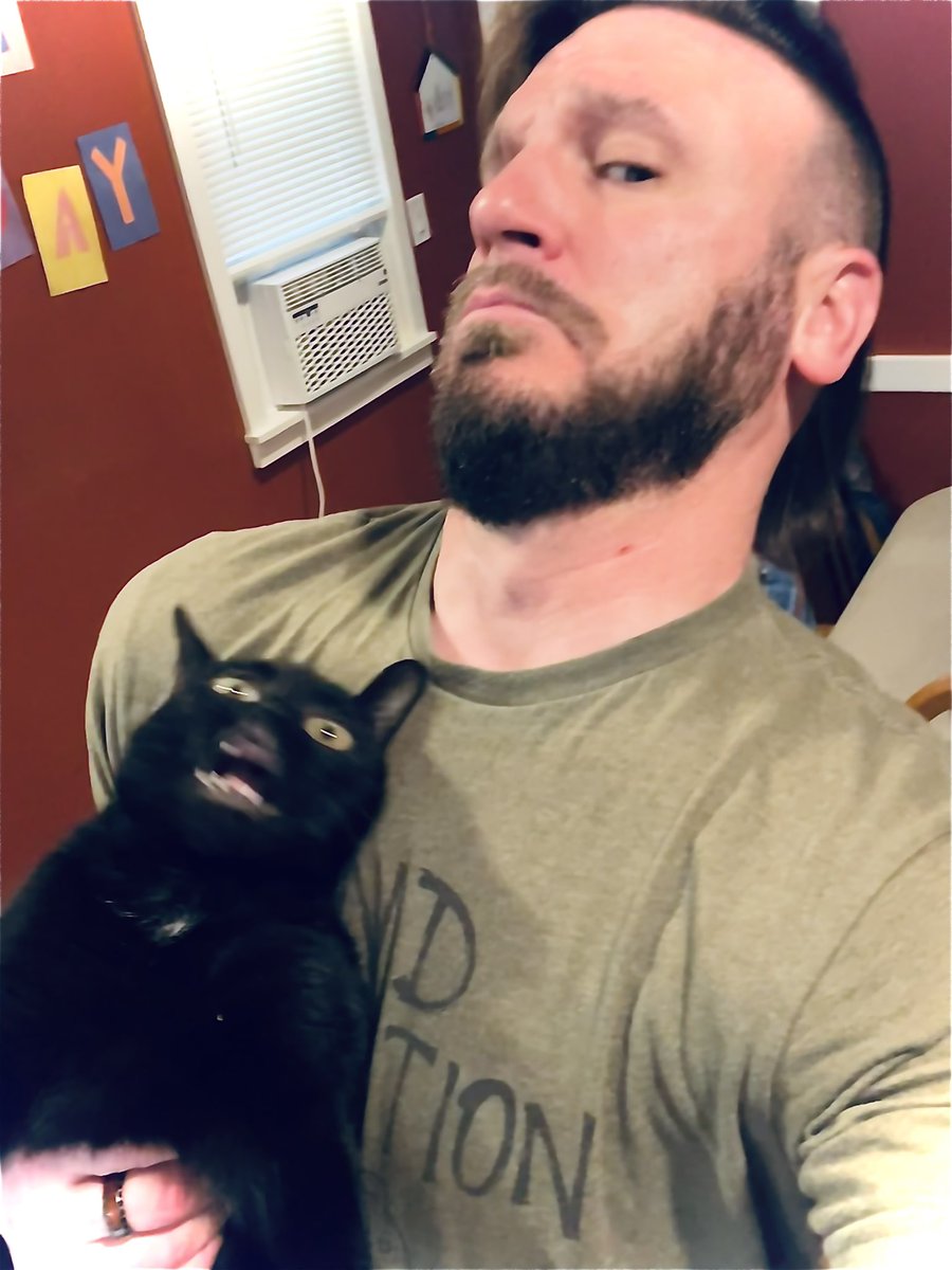 TheOnceAndFutureTimbo 🐈⬛ tweet media