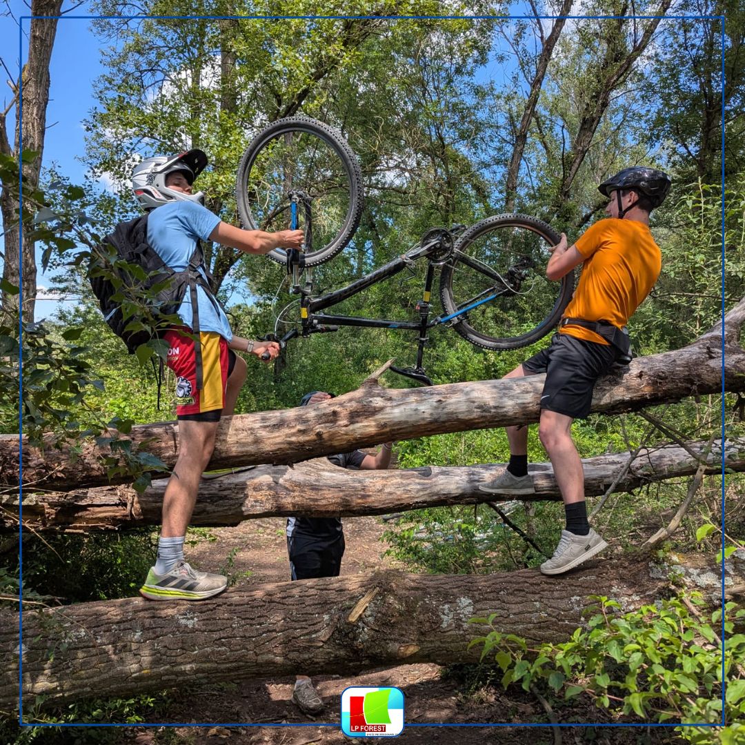Lycee_forest's tweet photo. 🔹 Dernière sortie UNSS de l’année 🚴
Une belle après-midi partagée avec 17 élèves licenciés à l'AS sous un magnifique soleil et une chaleur bien présente !
 Au programme : parcours en forêt, passage en prairie, quelques obstacles à franchir et surtout beaucoup de bonne humeur. https://t.co/duKDiwSa7y