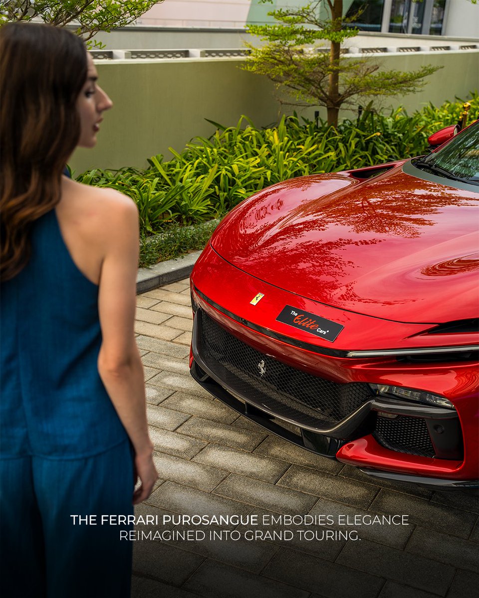 The Elite Cars LLC tweet media