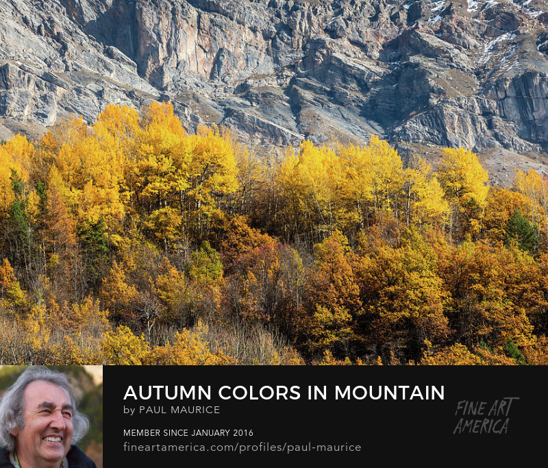 apollo0300's tweet photo. Autumn Colors in Mountain Landscape
https://t.co/frCu1CfPTs
#alpesdusud #alps #autumn #colorsoffall #frenchalps #HautesAlpes #hautesalpestourisme #travelphotography #paulcmaurice #artforsale #buyintoart #fineart #giftidea #giftideas #homedecor #wallart #FindYourThing https://t.co/of94RJnSCg